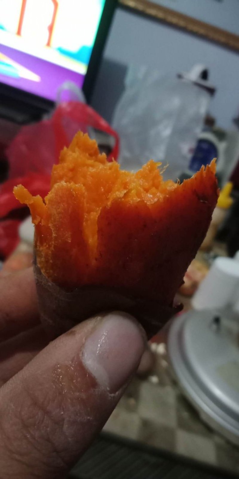 普薯32番薯苗红薯苗西瓜红苗烟薯苗六鳌蜜薯苗
