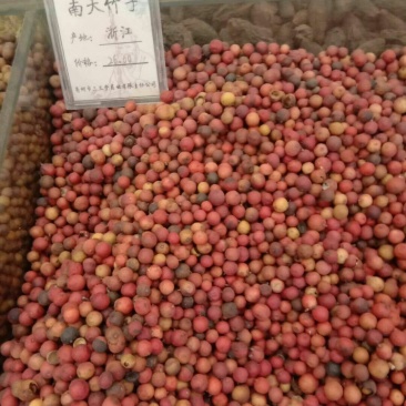 南天竹子，常年批发供应冷背中药材