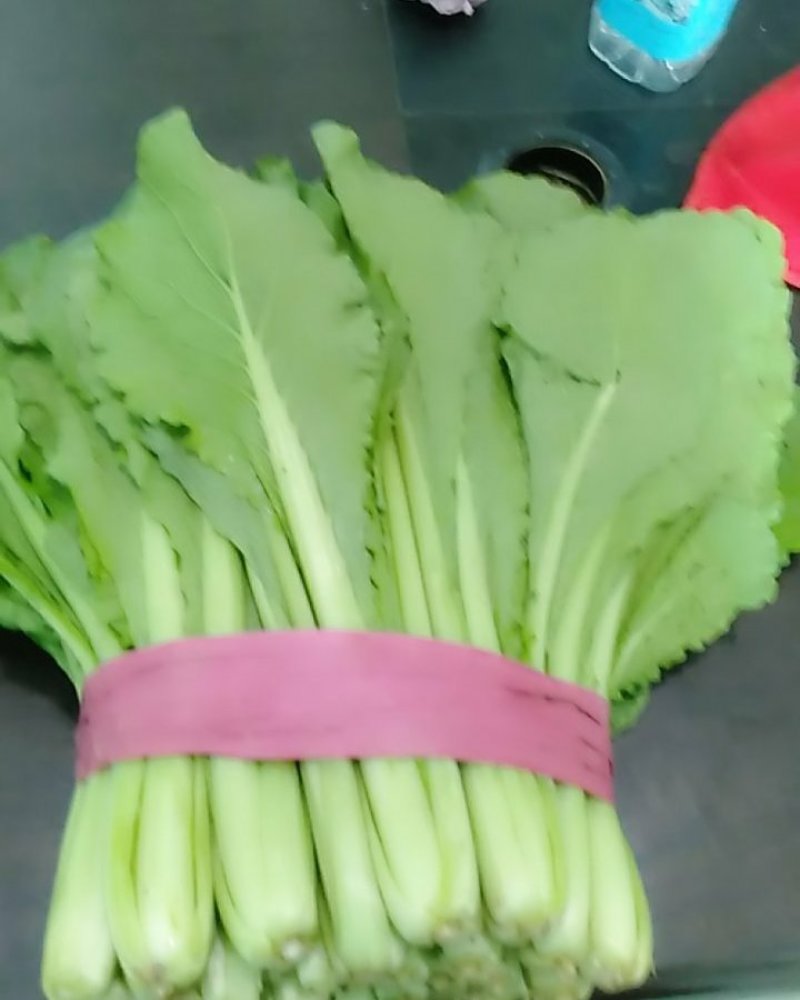 河北邯郸精品小白菜，保质保量交通运输方便，城信经营