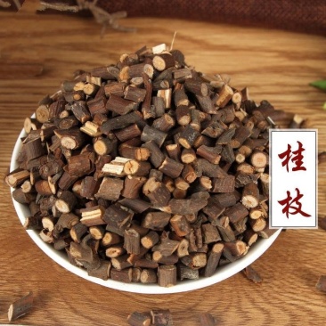 桂枝野生桂枝无硫纯净货桂枝尖品质保证