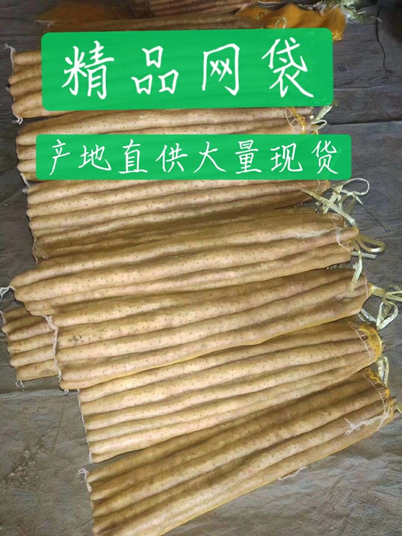 供应小白嘴精品箱装规格齐全产地直供大量现货
