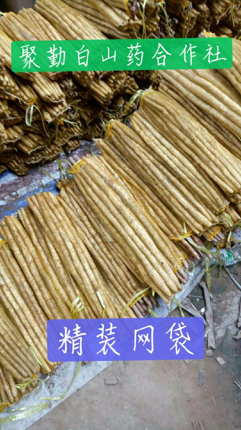 供应小白嘴精品箱装规格齐全产地直供大量现货