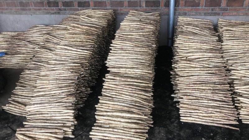 供应小白嘴精品箱装规格齐全产地直供大量现货