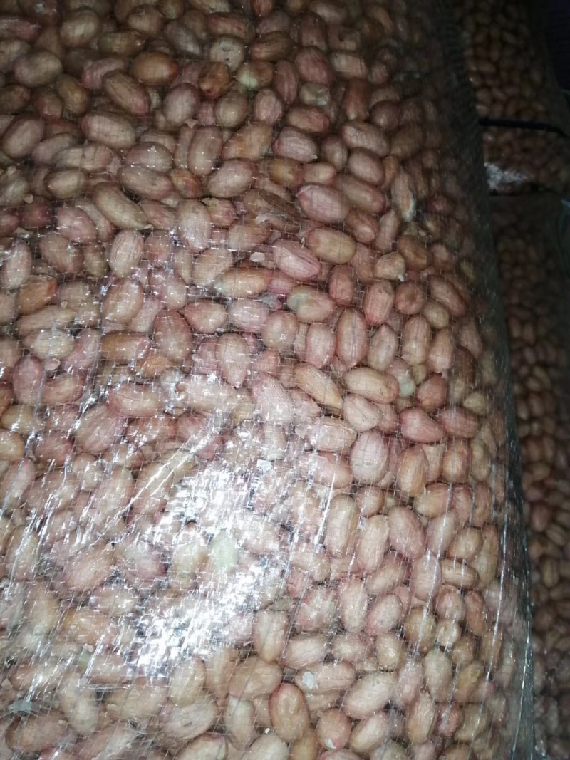 白沙精米，中颗粒精选7/8筛，一级商品，一级油料