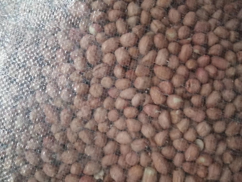 白沙精米，中颗粒精选7/8筛，一级商品，一级油料