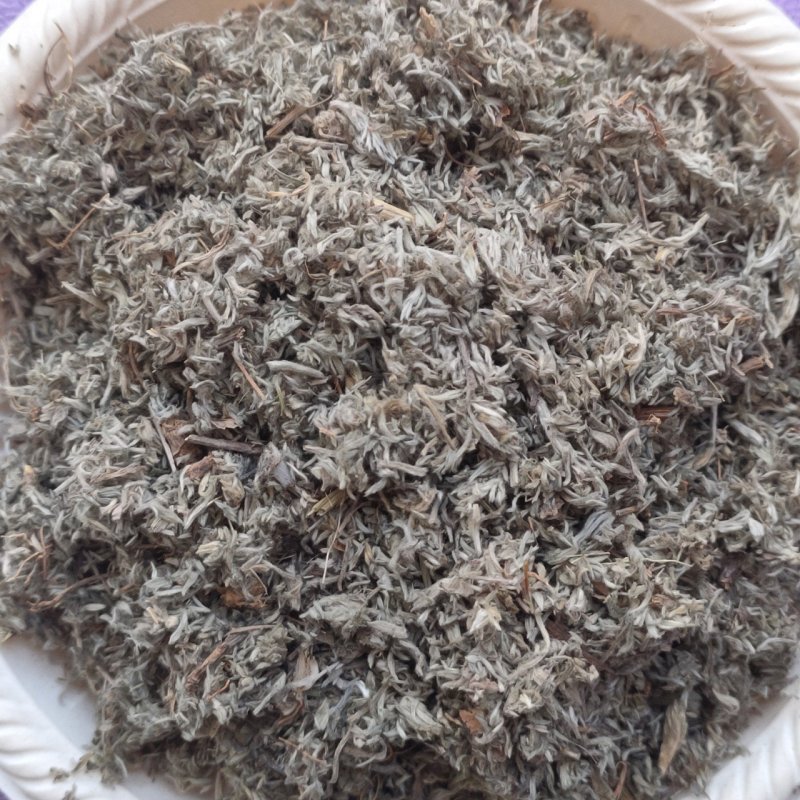 茵陈绵茵陈净货茵陈草产地直销品质保证各种草药