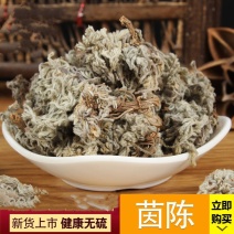 茵陈绵茵陈净货茵陈草产地直销品质保证各种草药