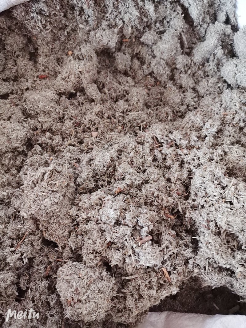 茵陈绵茵陈净货茵陈草产地直销品质保证各种草药