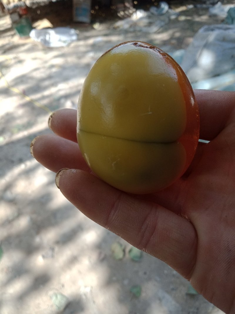 蛋类黄金变蛋五香变蛋