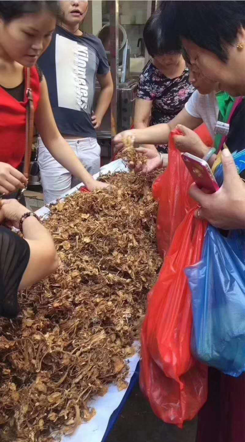 茶树菇古田茶树菇厂家低价批发跑江湖地摊货源