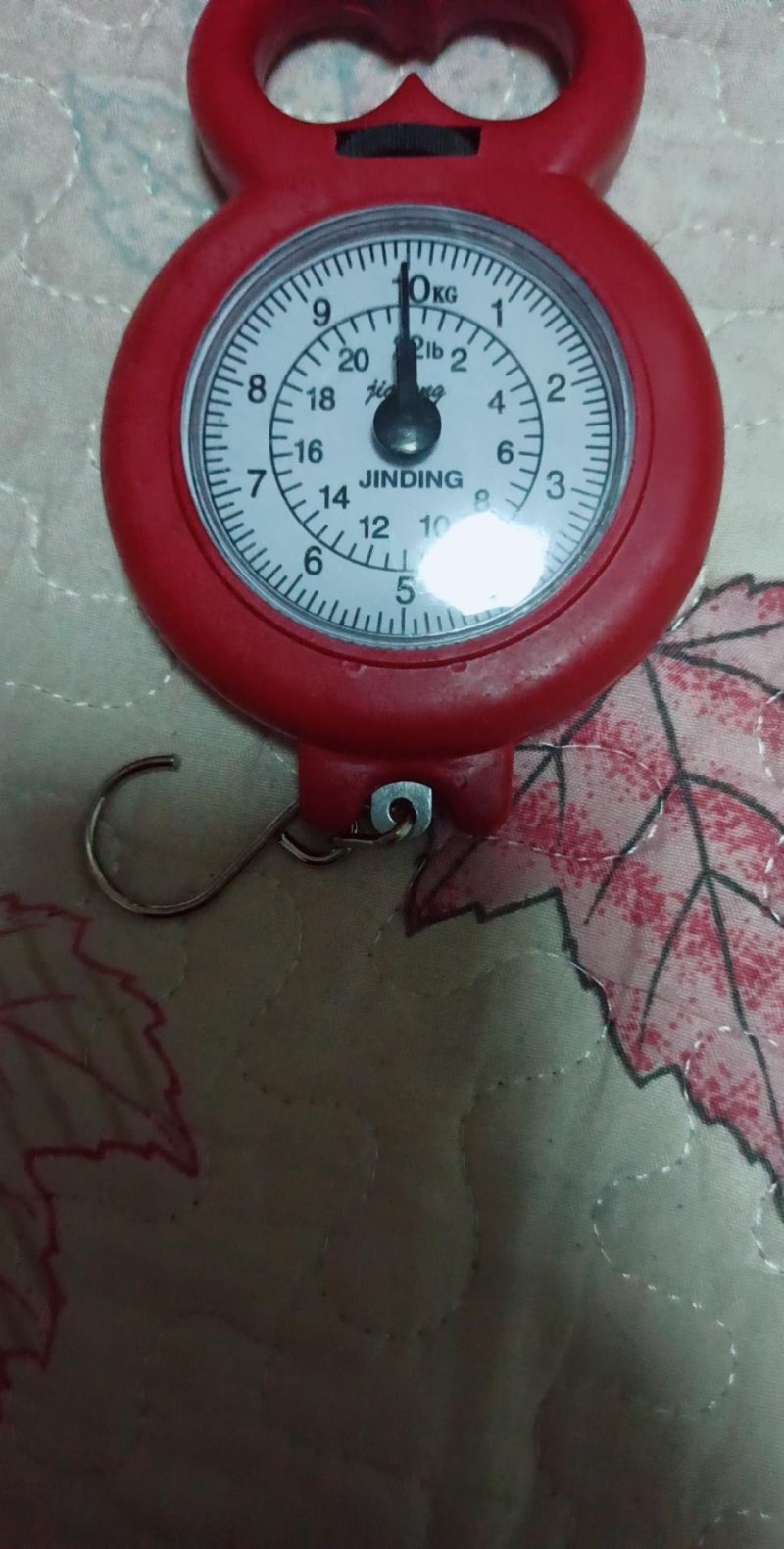 弹簧秤家用便携式多功能口袋秤手提小秤买菜秤迷你快递秤10