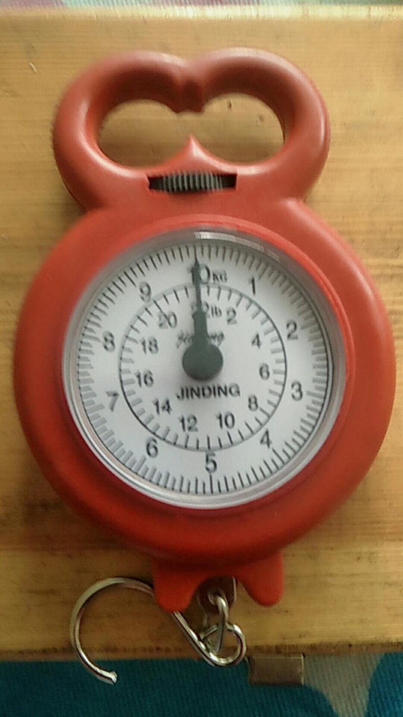 弹簧秤家用便携式多功能口袋秤手提小秤买菜秤迷你快递秤10