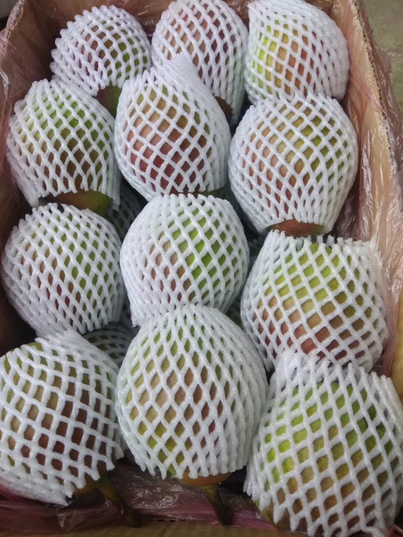 优质一面红梨，洋梨红巴梨，彩啤梨，半面红梨产地直销代办