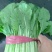 河北邯郸精品小白菜，保质保量交通运输方便，城信经营