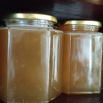 大凉山老桶深山中华蜂蜜一年采一次蜜