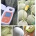 西州蜜瓜哈密瓜晓密瓜莘县成祥农副产品购销服务有限公司