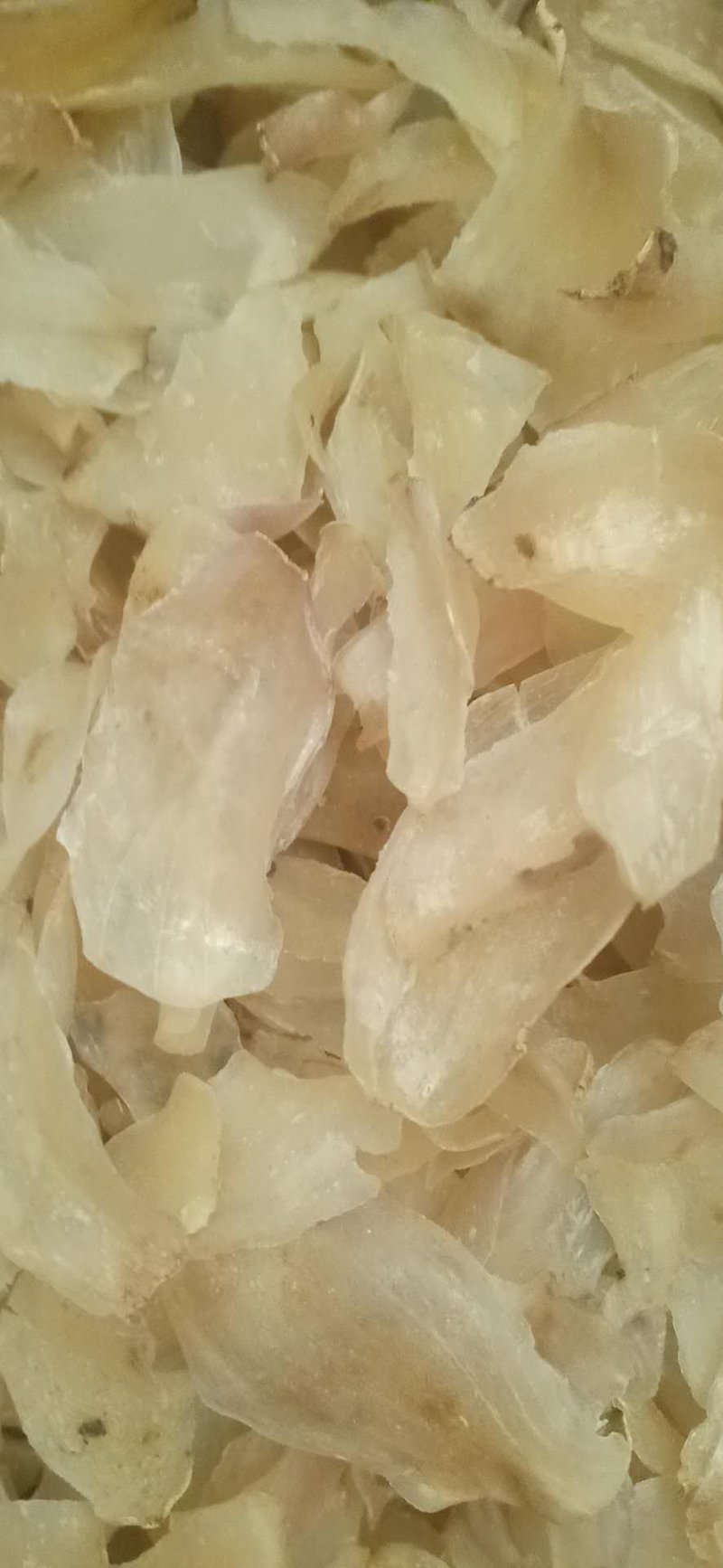 透明真空包装十二头，十头，八头，六头，四头，两头，