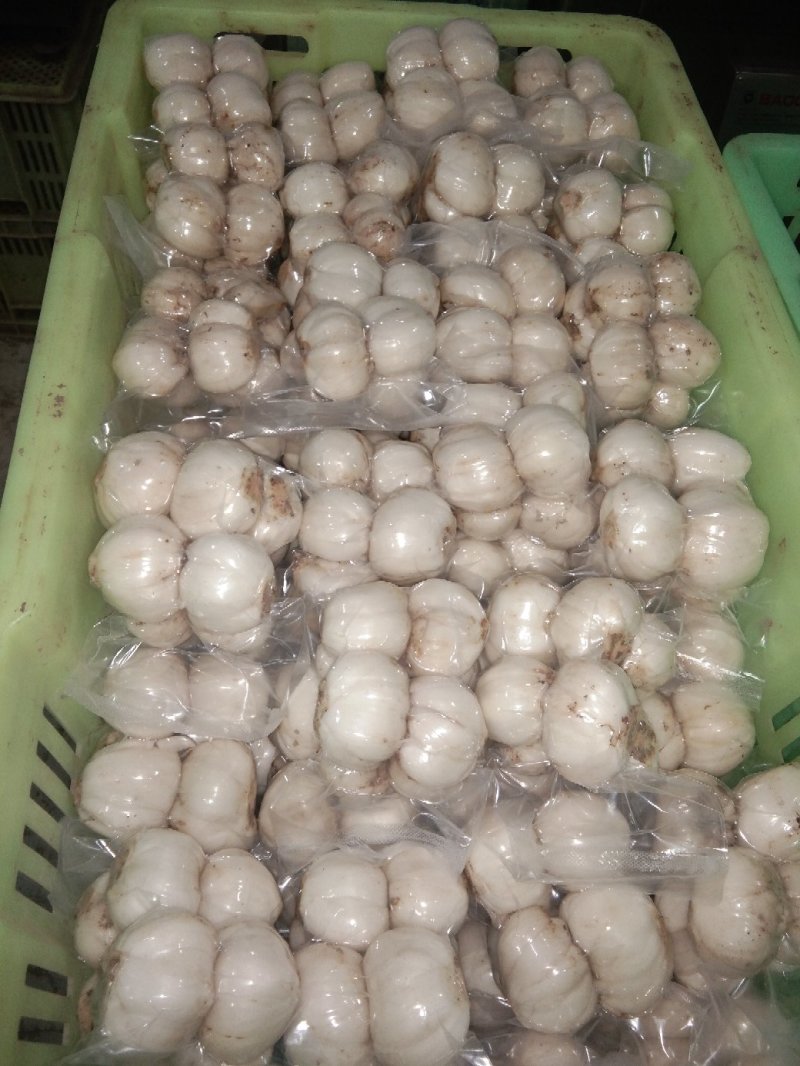 透明真空包装十二头，十头，八头，六头，四头，两头，