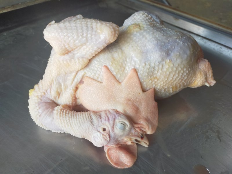常年供应【白条鸡】农户散养鸡、规格齐全、量大从优