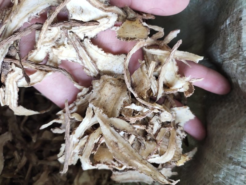 【文斌药业】当归全当归。过三个筛当归地道药材