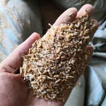 常年供应优质碎小麦鸡鸭鹅专用料