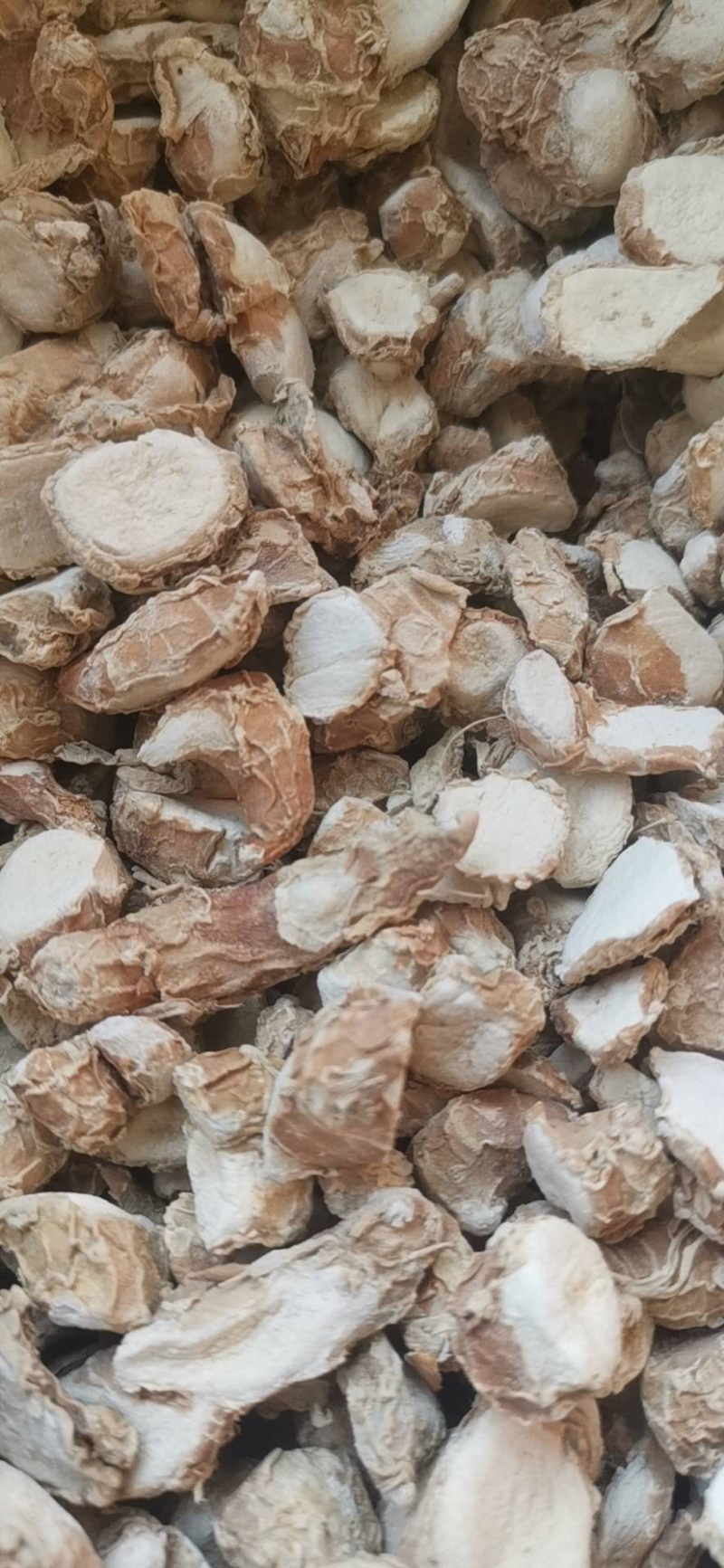 山奈各种中药材香料批发产地直销量大从优