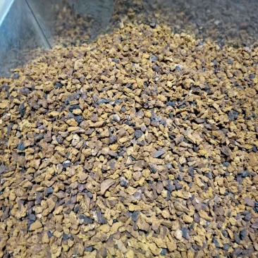 精切桦树茸