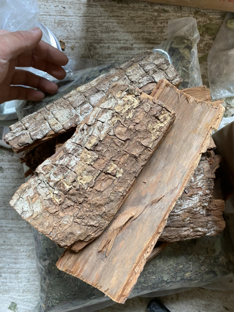 卡宾达树皮各种中药材批发产地直销量大从优