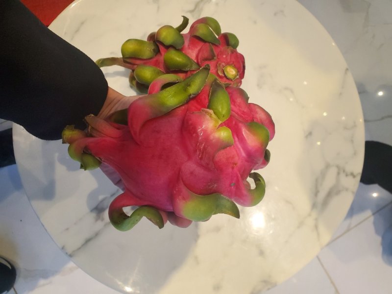越南红心火龙果