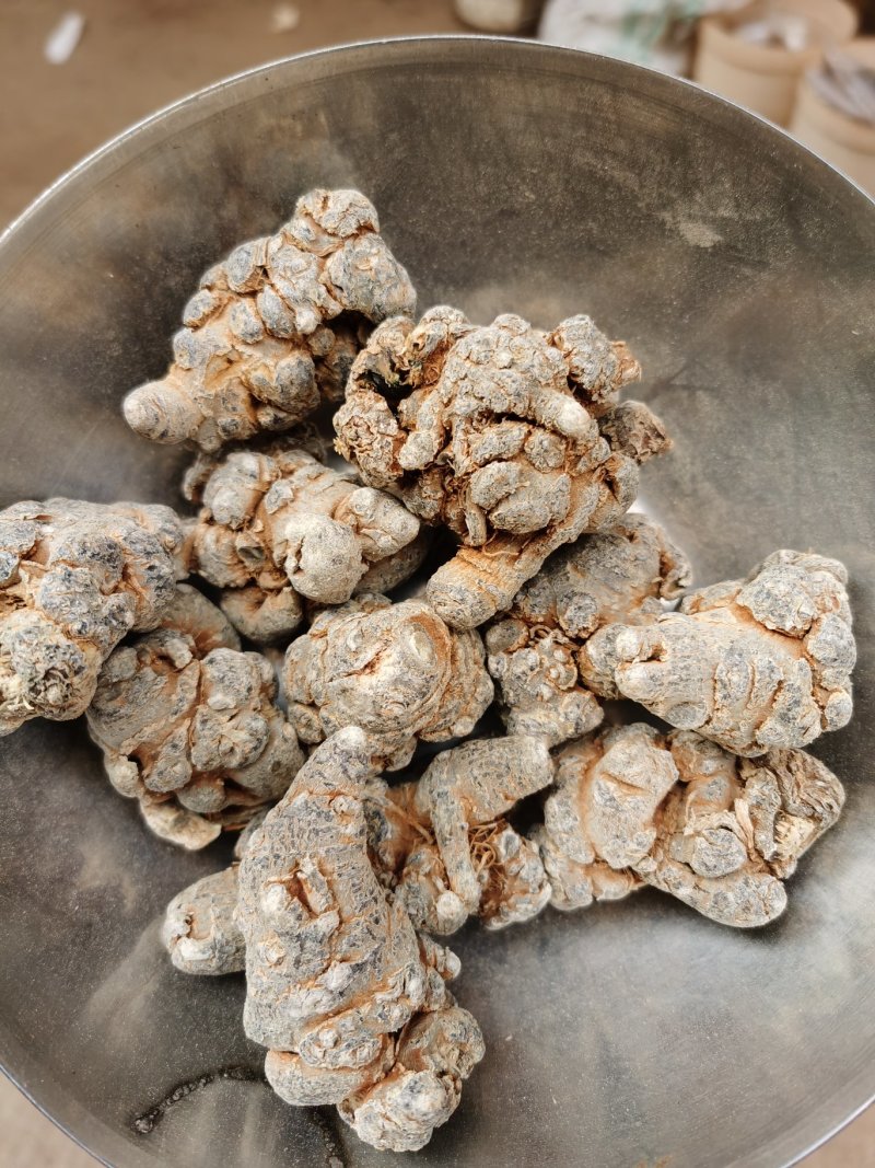 云南文山12头三七田七足头12头特级4年七大量批发