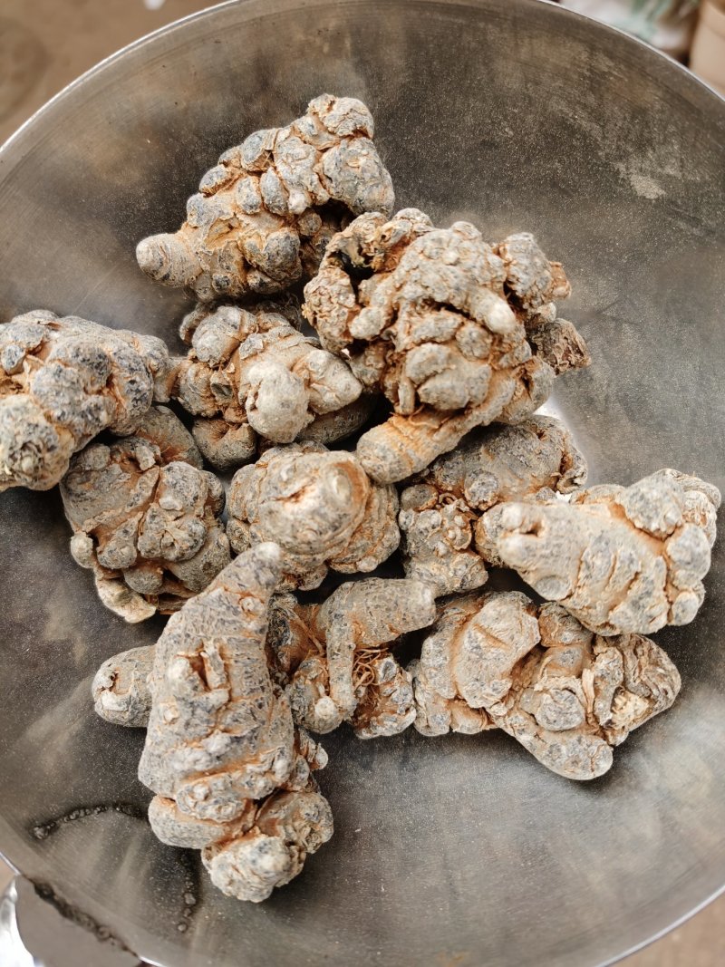 云南文山12头三七田七足头12头特级4年七大量批发
