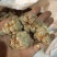 云南文山12头三七田七足头12头特级4年七大量批发