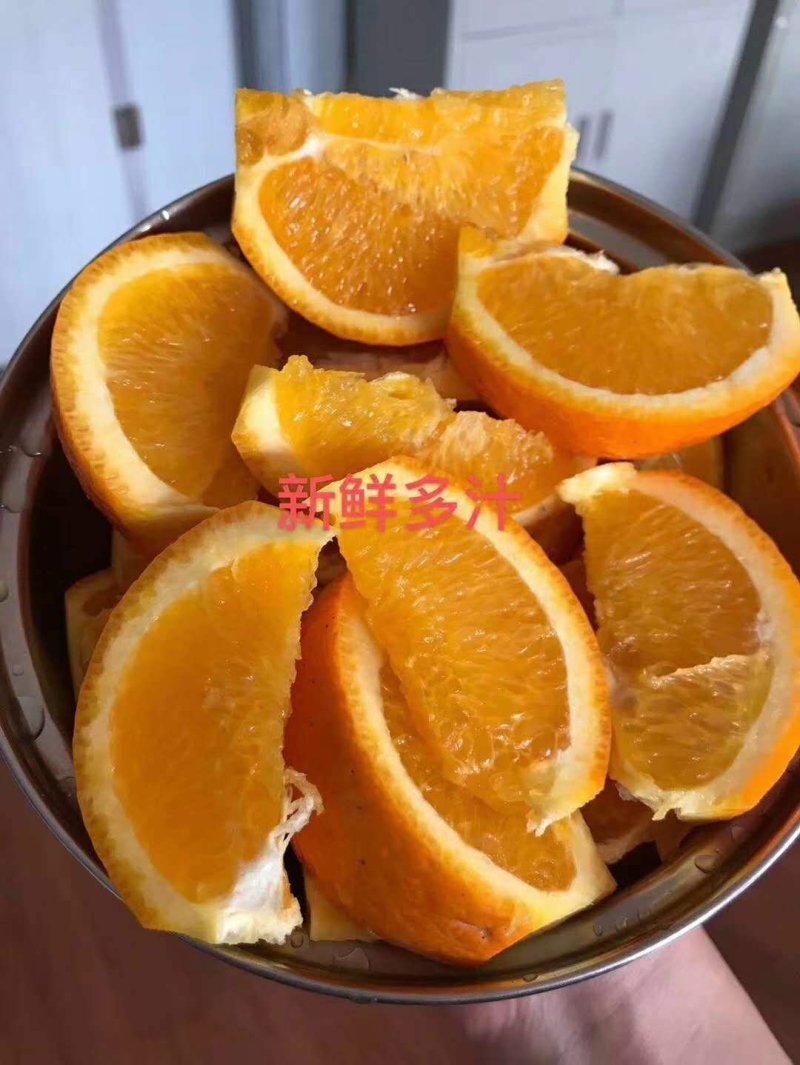 湖北秭归优质脐橙产地看货看货采摘诚信经营保质保量