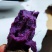 紫薯苗红薯苗高产紫薯品种紫水晶苗高端红薯苗