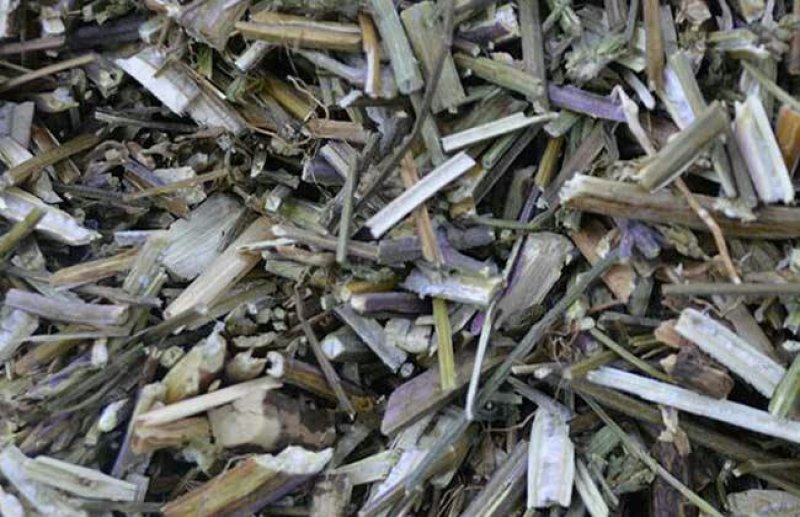 中药材紫苏梗苏梗紫苏茎紫苏杆苏子杆紫苏梗