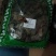 厚朴川厚朴厚朴草药新货