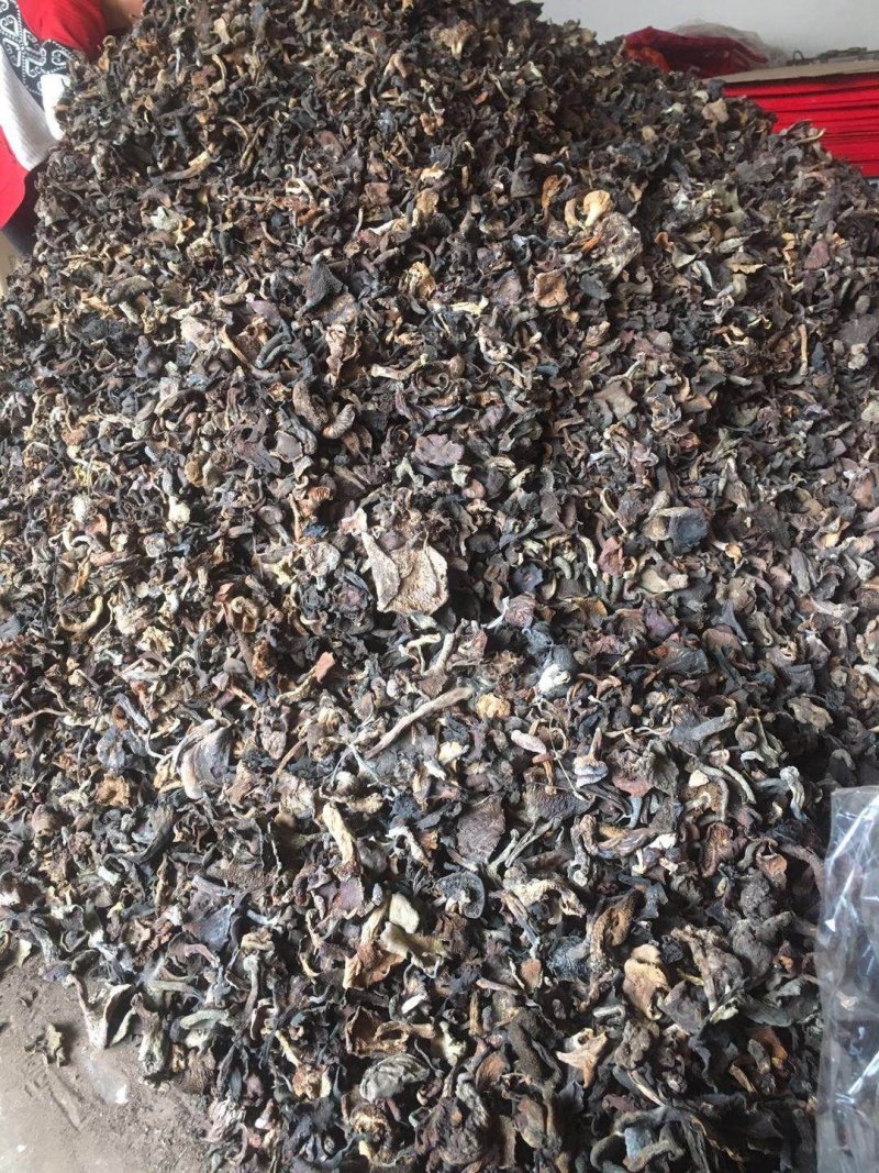 牛肝菌、黑黄红牛肝菌熬汤专用