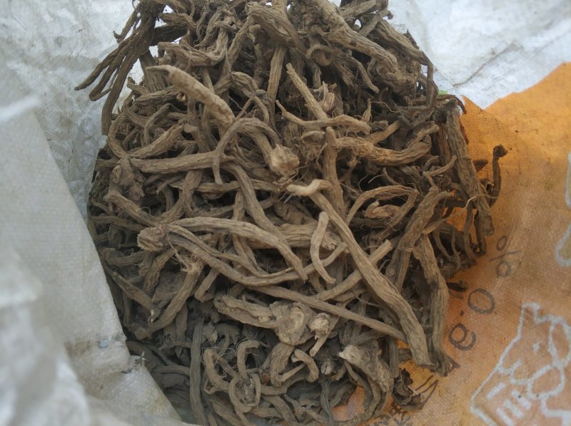 贵州续断野生统断续不包邮