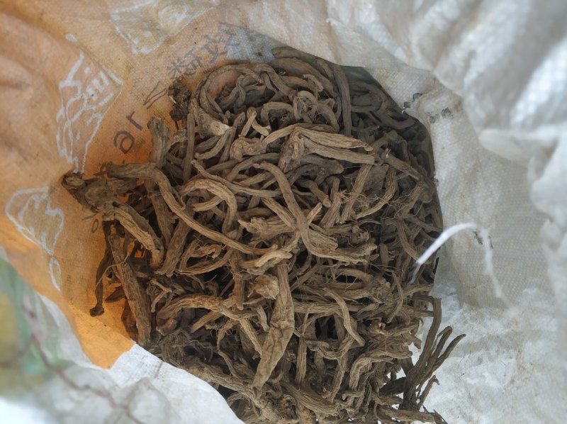 贵州续断野生统断续不包邮
