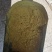 蒲黄中药材生蒲黄新货一公斤起