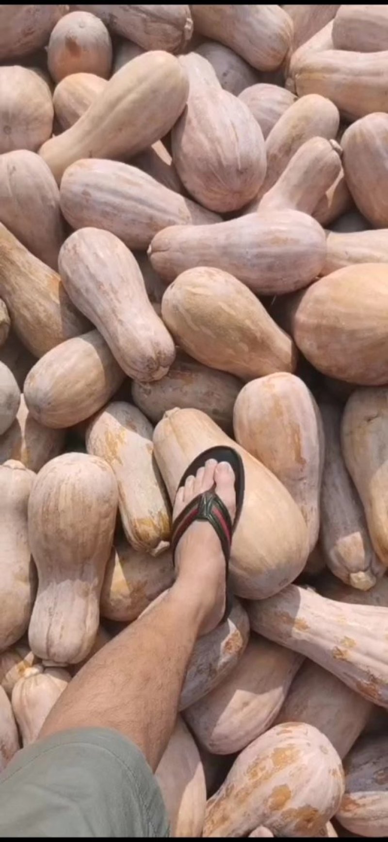 靓仔