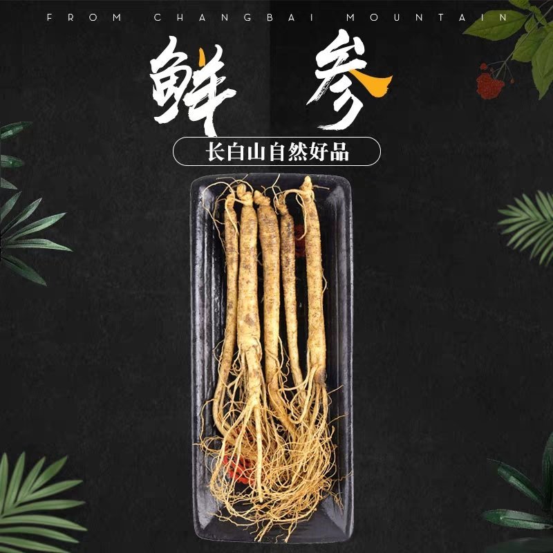 产地直供东北人参带土鲜人参现挖现卖一元一支