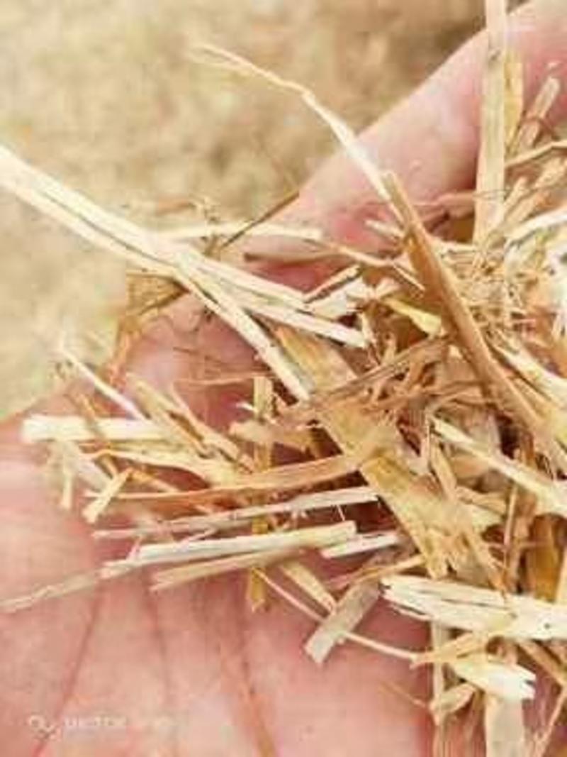 压块玉米秸秆压块麦秸无土无沙无霉变质量保证