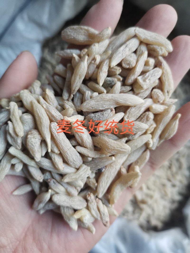 麦冬四川麦冬寸冬无硫规格齐全一公斤起发货