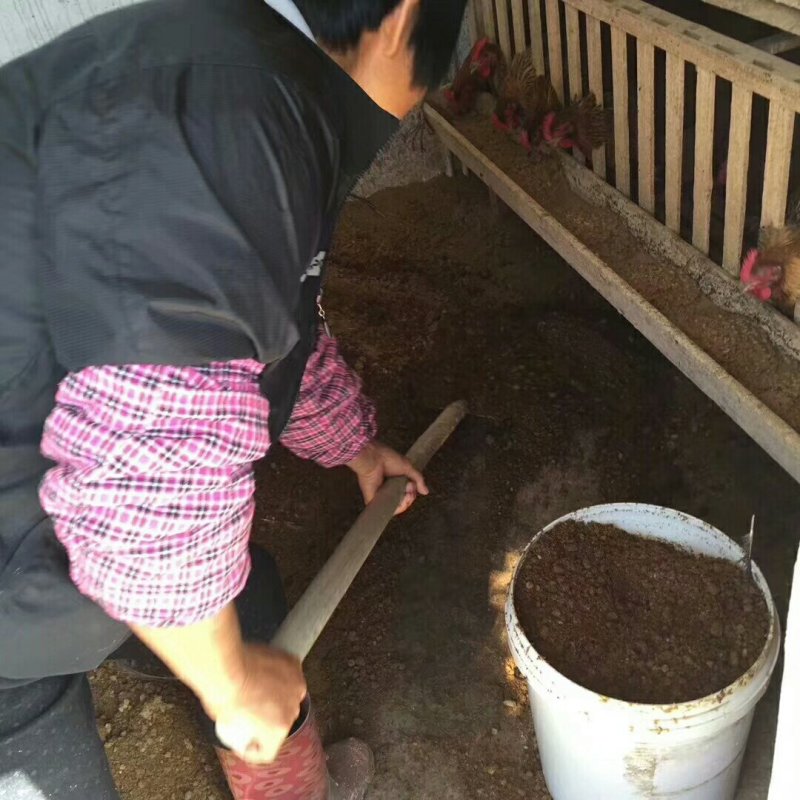 乡下农货篇本地有机种植季菜干