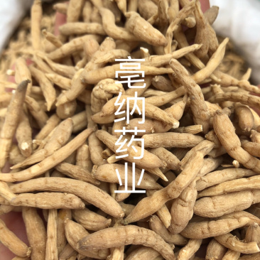 太子参孩儿参中药材太子参无硫新货1⃣️公斤起批
