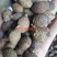 胖大海长果无硫熏规格齐全泡水润嗓一公斤起发货
