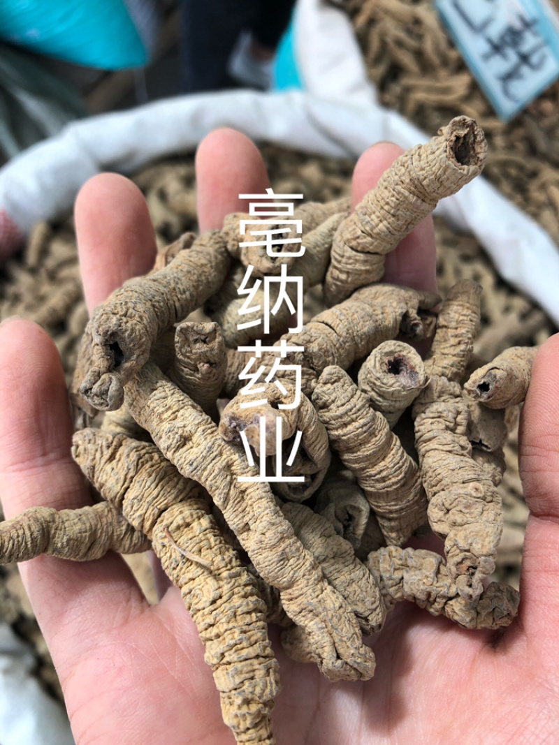 巴戟天巴戟肉中药材去芯巴戟天广东1公斤起批