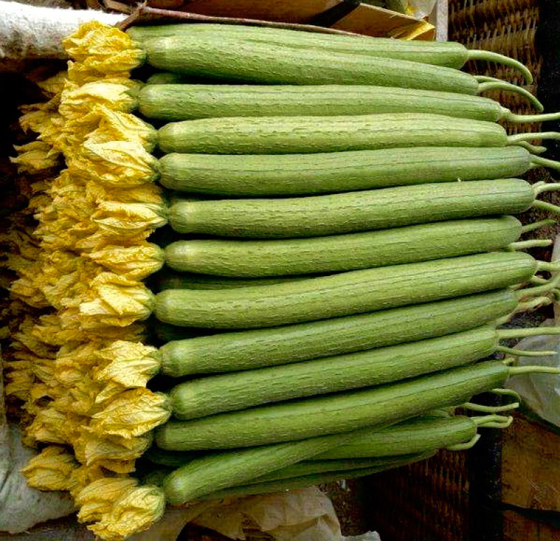 鲜花短丝瓜，油量肉丝瓜！！！瓦窑徐州新沂
