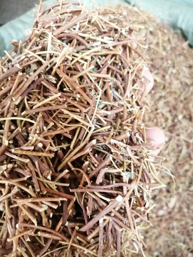 鸡骨草，广西特产鸡骨草，药食两用，现货供应